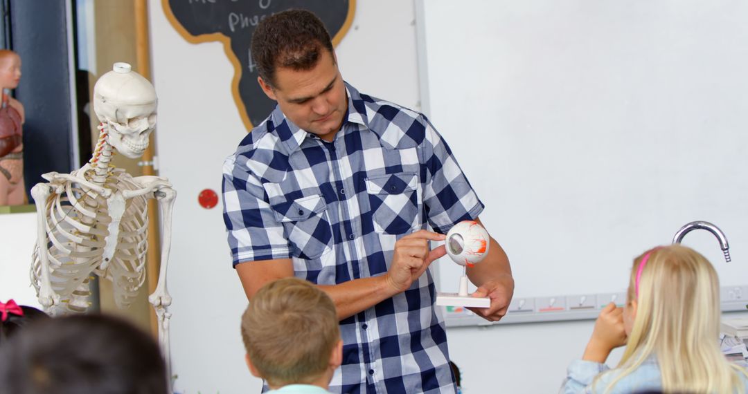 Teacher Demonstrating Eye Model to Engaged Schoolchildren