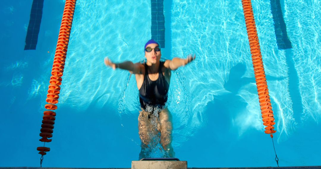 Female Swimmer Diving Into Pool for Competition - Free Images, Stock Photos and Pictures on Pikwizard.com