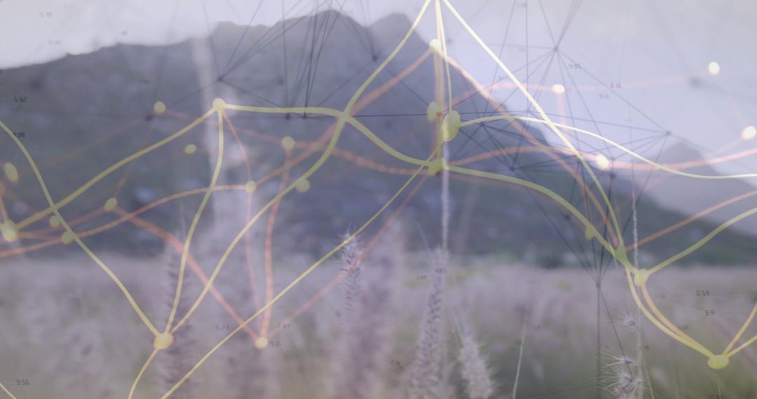 Network Graph Overlay with Mountain Meadow Backdrop