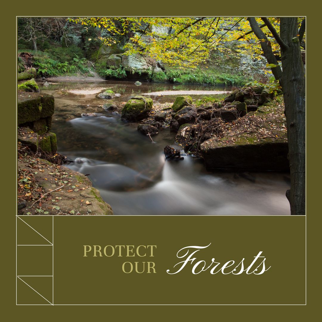 Serene Forest Stream Promotes Conservation Awareness