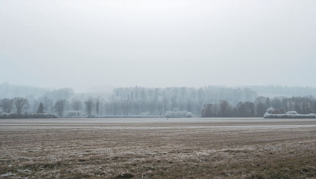 Frosty Farmland Morning with Misty Treeline and Snow-dusted Stubble on Flat Winter Plain