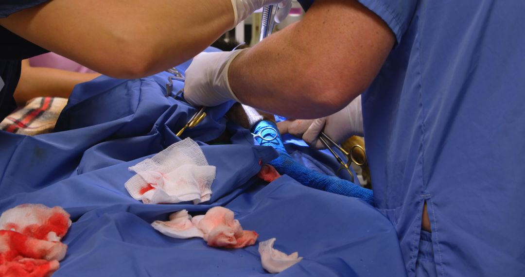 Veterinary Surgeons Operating on Dog in Intense Surgery Scene