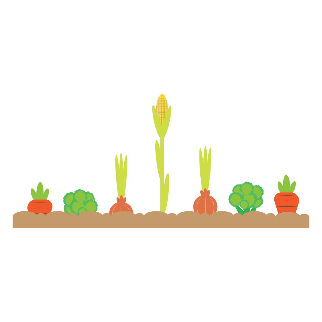 Organic Vegetables Growing on Transparent Farm Landscape