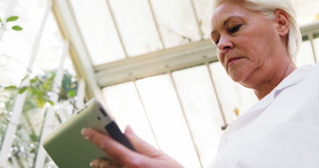 Senior Scientist Using Digital Tablet in Greenhouse - Free Images, Stock Photos and Pictures on Pikwizard.com