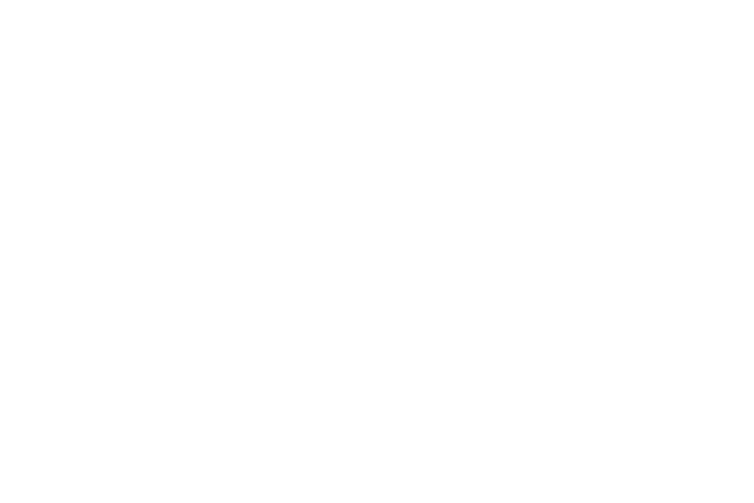 Key Holding Silhouette on Transparent Background