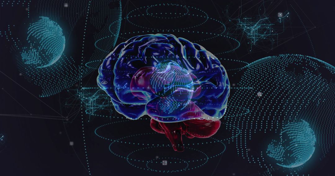 Digital Brain Model Floating in Networked Virtual Data Space