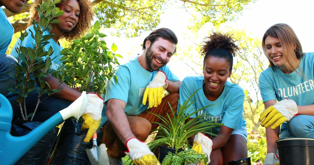 Diverse Team of Volunteers Planting Trees Together in Park - Free Images, Stock Photos and Pictures on Pikwizard.com