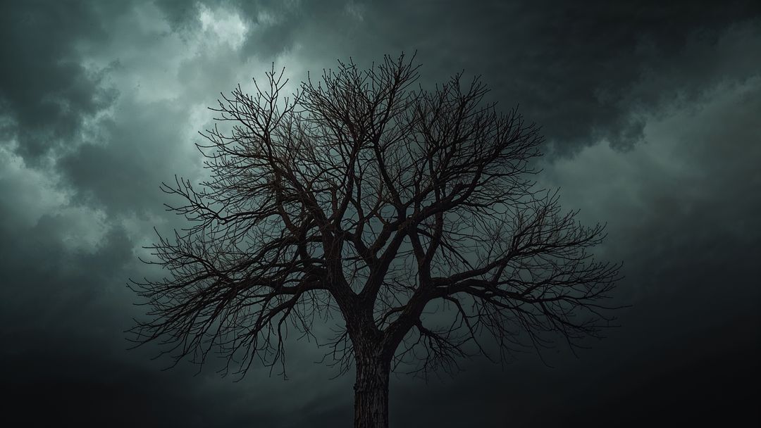 Leafless Tree Under Stormy Skies in Nighttime Wilderness