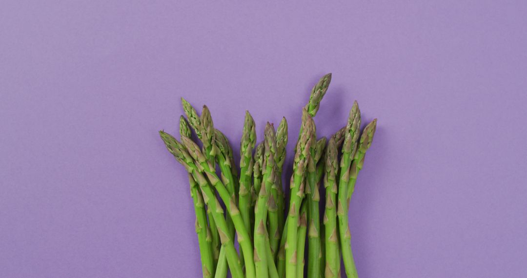 Image of fresh asparagus with copy space over lilac background - Free Images, Stock Photos and Pictures on Pikwizard.com