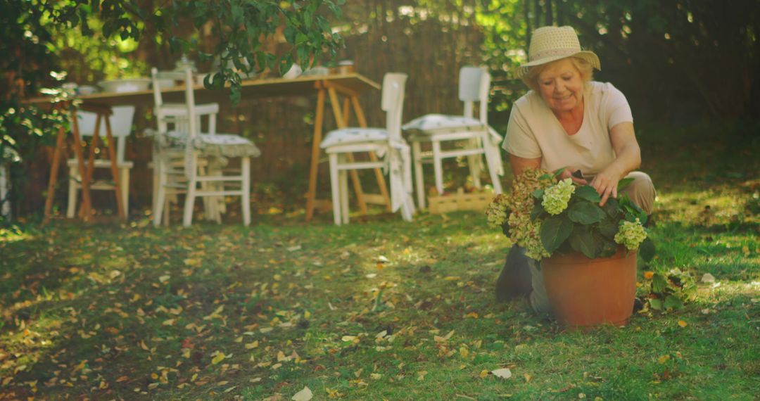 Senior woman examining pot plant in garden on a sunny day - Free Images, Stock Photos and Pictures on Pikwizard.com