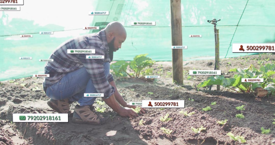 Gardener Tending Seedlings Using Innovative Planting in Shade