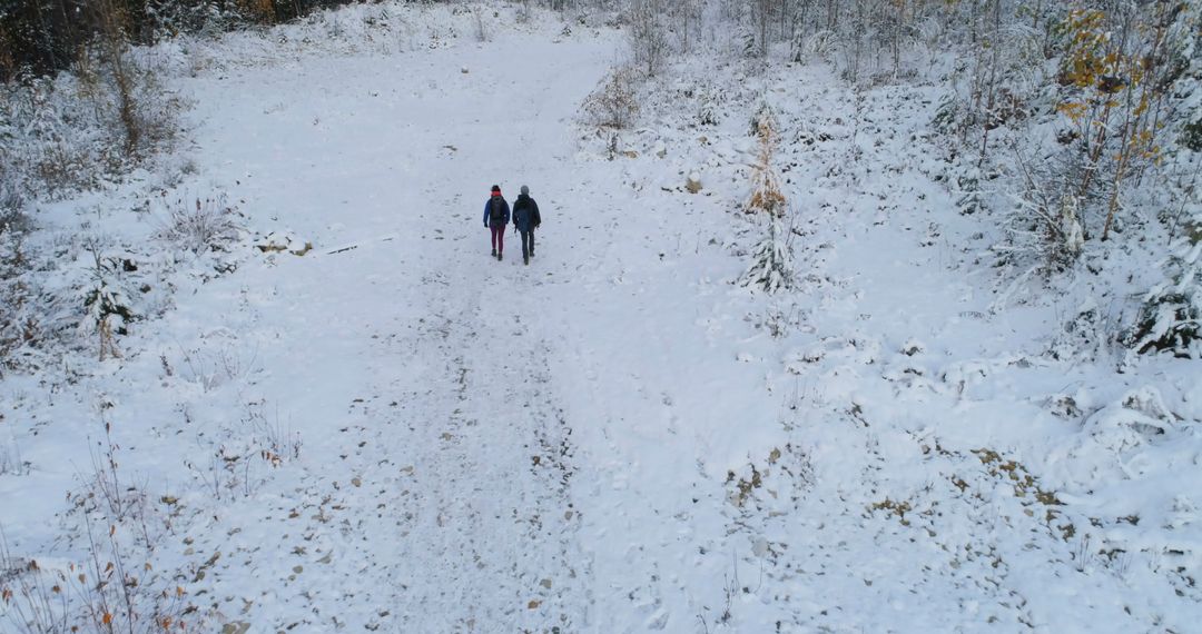 Couple Walking on Snow-covered Path in Winter Forest - Free Images, Stock Photos and Pictures on Pikwizard.com