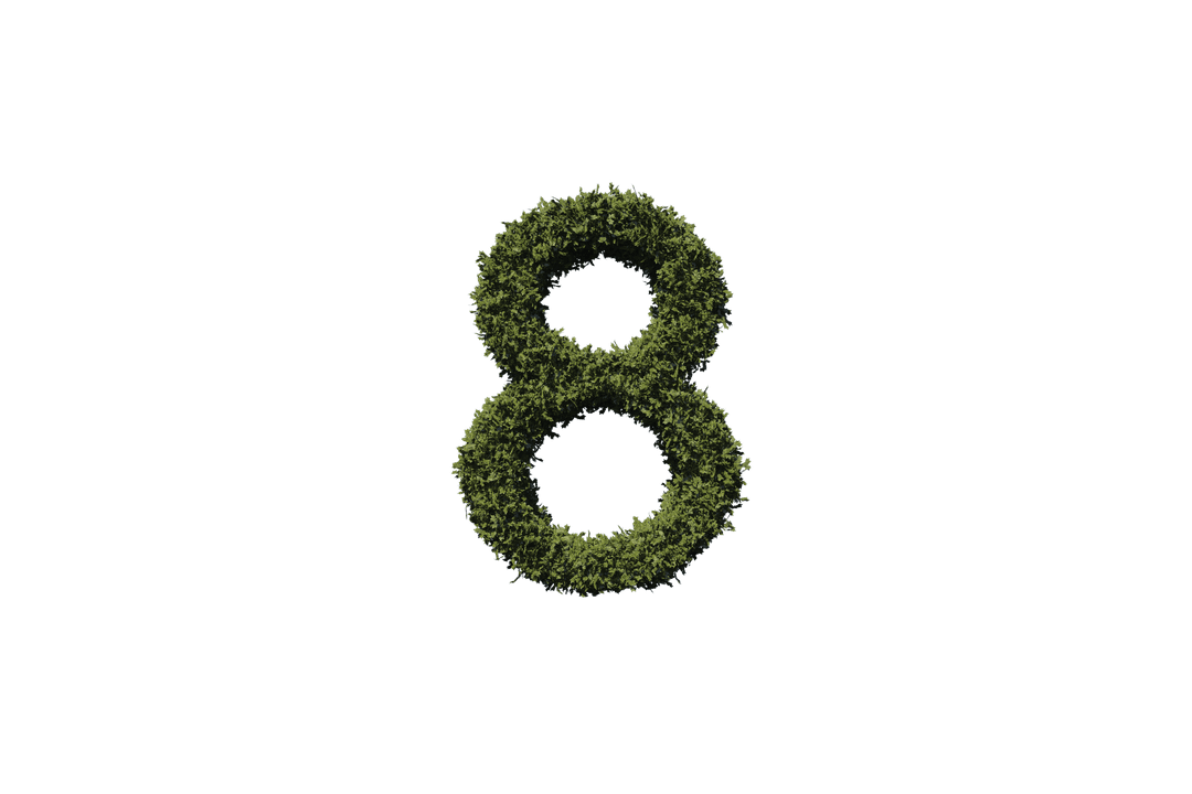 Leafy Number 8 on Transparent Background for Ecology Design - Download Free Stock Images Pikwizard.com
