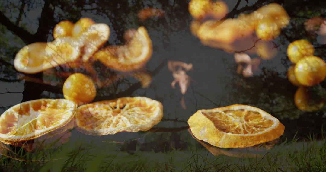 Surreal Abstract Composition with Floating Citrus