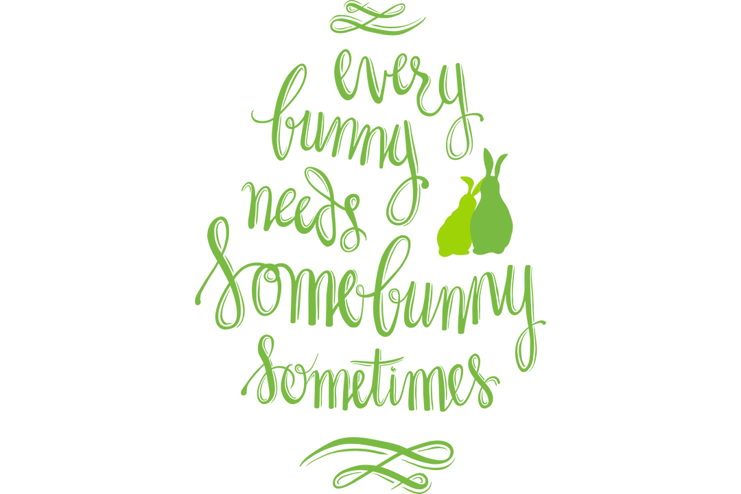 Romantic Quote Every Bunny Needs Somebunny on Transparent
