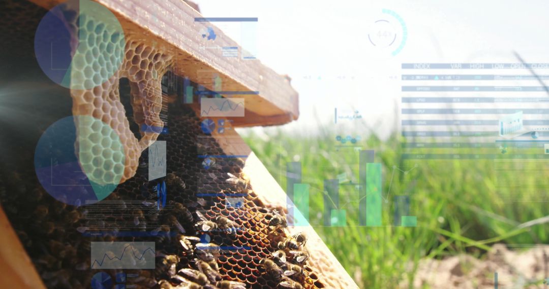 Eco-Data Fusion: Beehive and Metrics Integration in Sustainable Apiculture