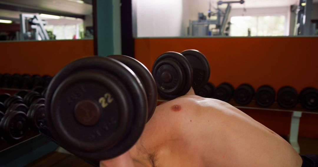 Athlete Lifting Dumbbells in Gym for Workout - Free Images, Stock Photos and Pictures on Pikwizard.com