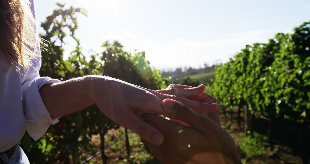 Romantic Marriage Proposal in Vineyard - Free Images, Stock Photos and Pictures on Pikwizard.com