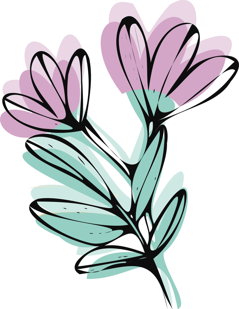 Minimalistic Sketch Botanical Illustration on Transparent Background