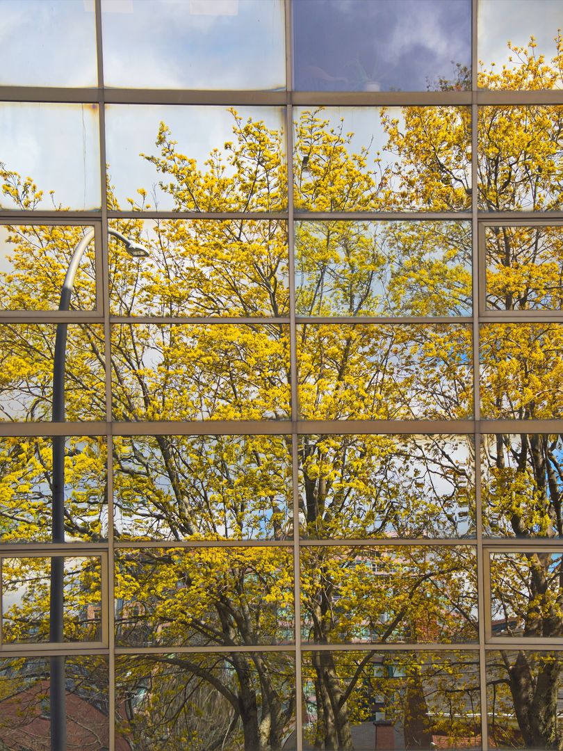 Spring Bloom Reflected in Modern Grid Window