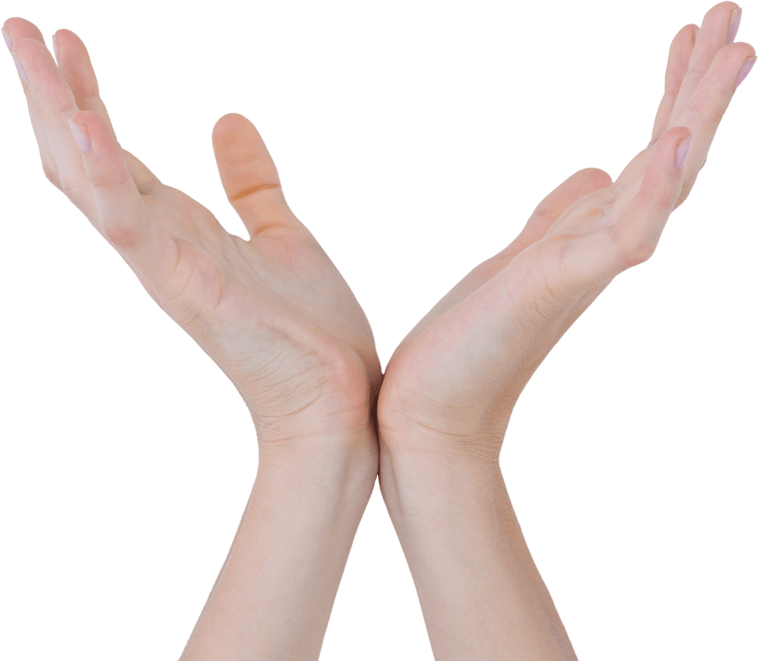 Hands Forming Open Palm Gesture on Transparent Background