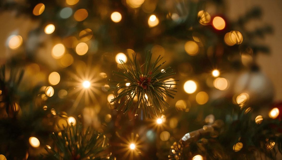 Close-up evergreen tip with warm bokeh lights creating cozy Christmas starburst glow at home