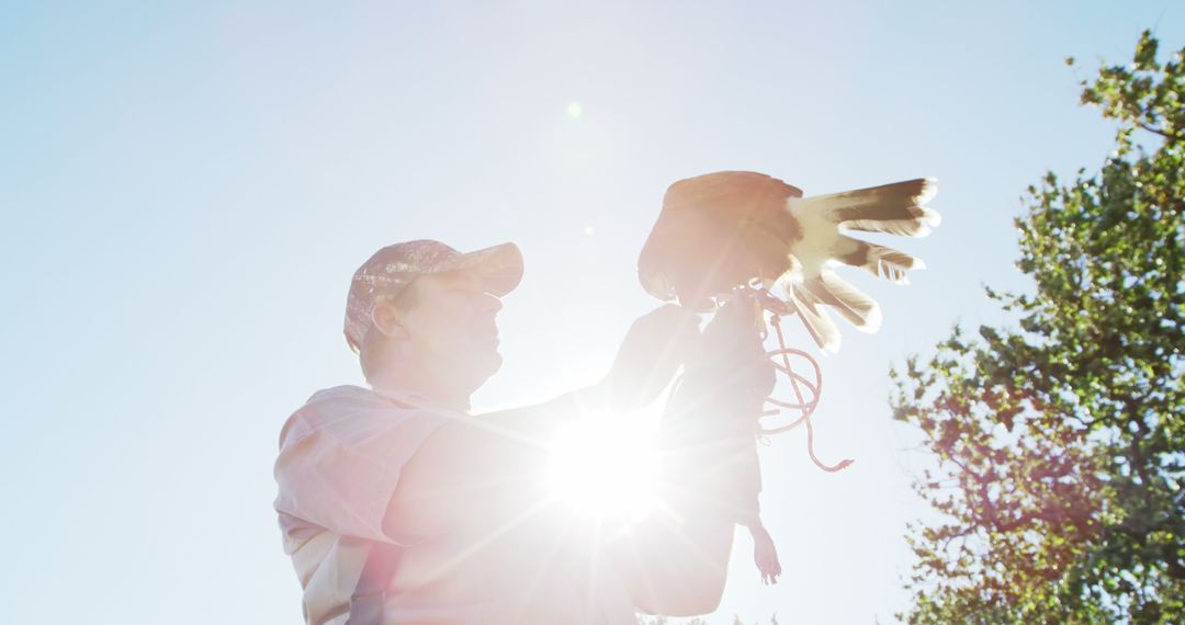 Falconer holding hooded hawk with sun flare in background - Free Images, Stock Photos and Pictures on Pikwizard.com