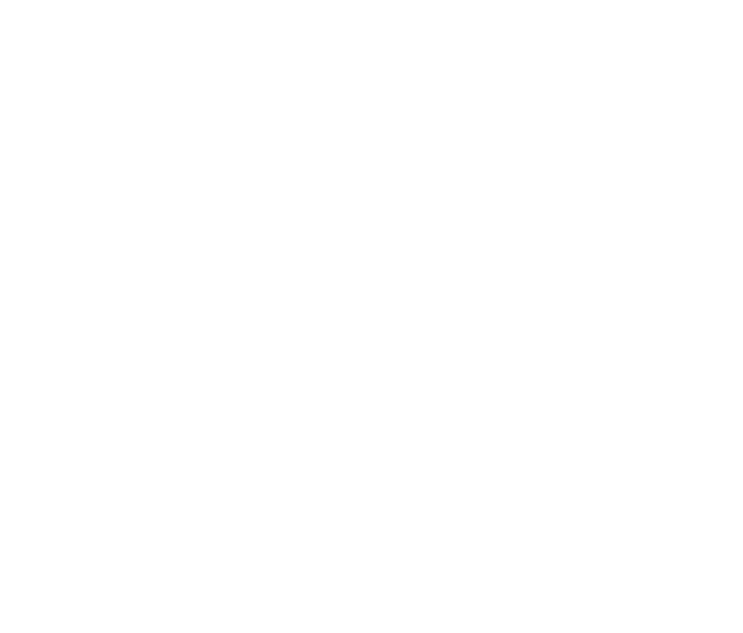 Silhouette Victory Pose Transparent Background