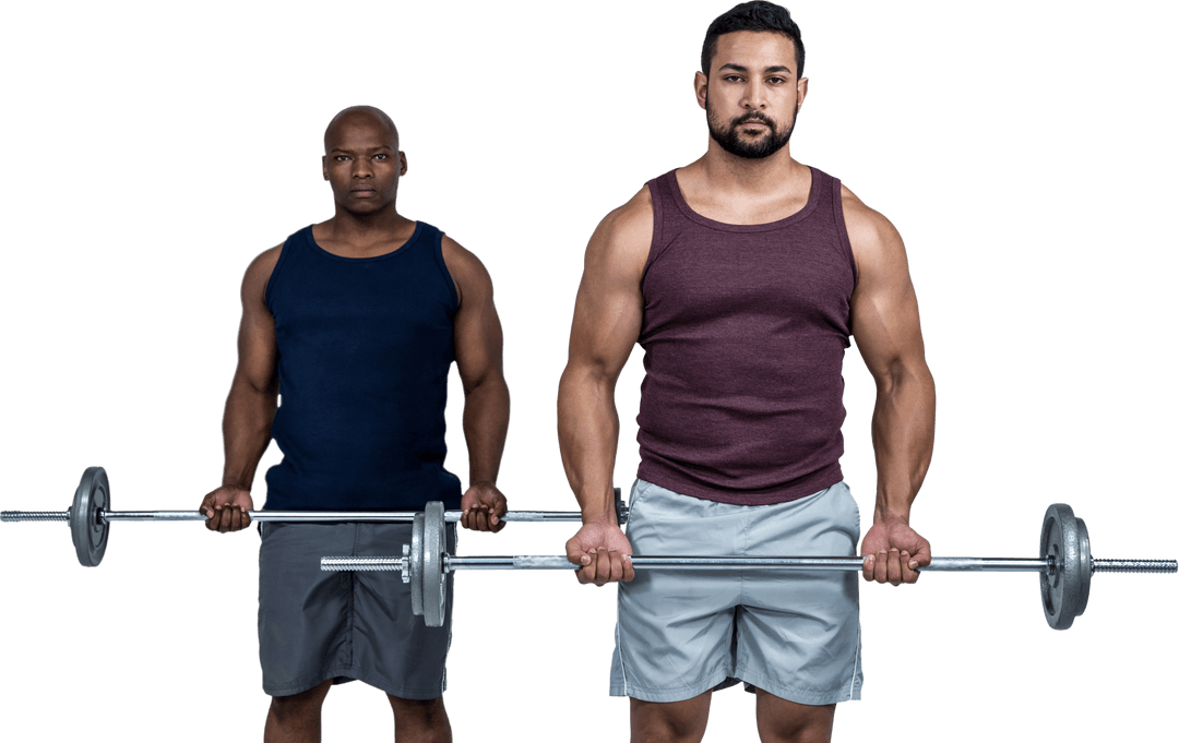 Transparent Weight Training With Focused Workout Enthusiast