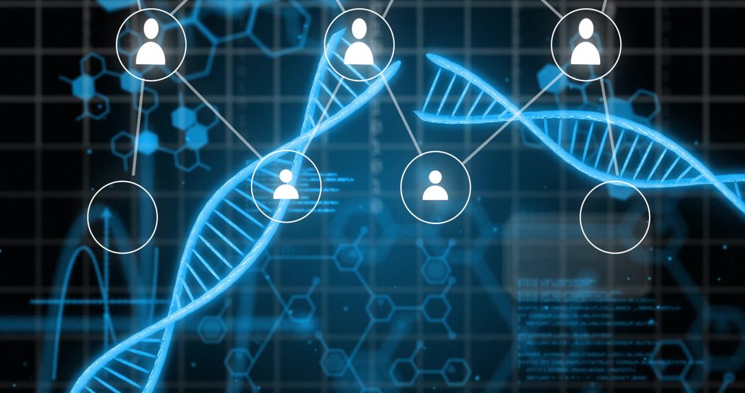 DNA Strands with Virtual Connections and Data Nodes