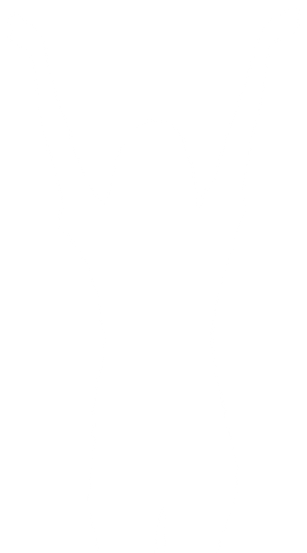 Transparent PNG Silhouette Woman Cheering Hands Uplifted - Download Free Stock Images Pikwizard.com