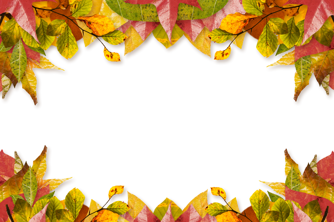 Transparent Frame of Autumn Leaves Illustration Isolated on Blank Background - Download Free Stock Images Pikwizard.com