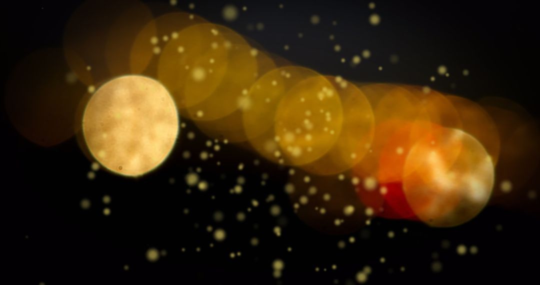 Golden Festive Lights Bokeh on Dark Background