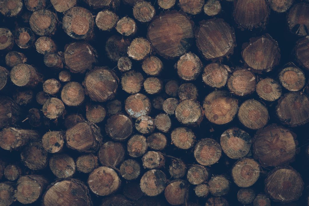 Piled Logs of Various Sizes Forming Rustic Background - Free Images, Stock Photos and Pictures on Pikwizard.com