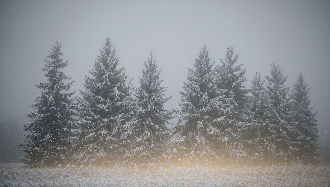 Row of Snow-Covered Fir Trees with Golden Mist and Falling Snowflakes