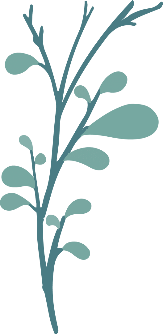 Minimalist Botanical Branch with Green Leaves on Transparent Background
