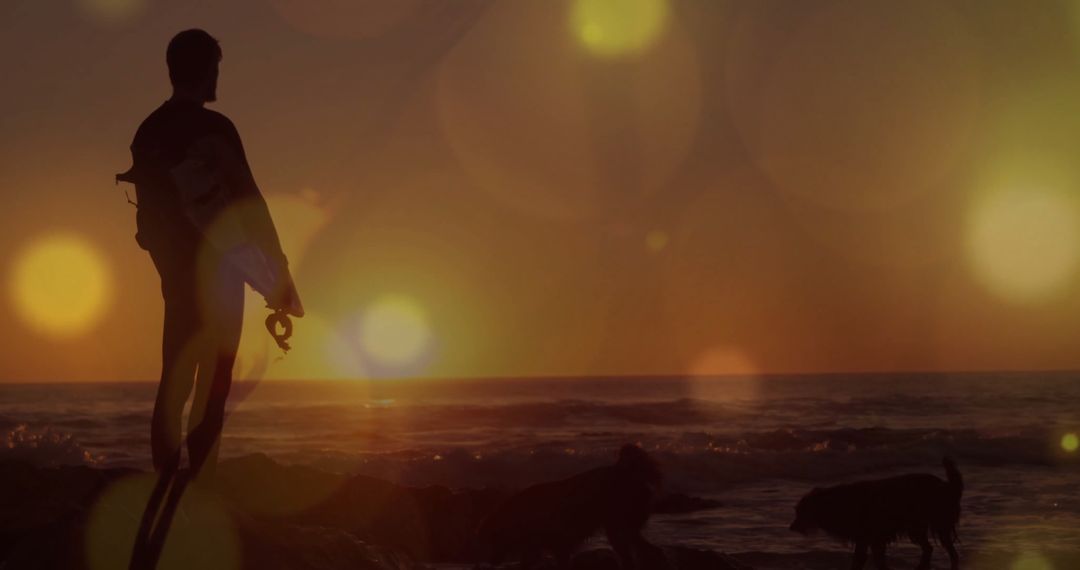 Silhouette of Surfer Watching Sunset by Ocean