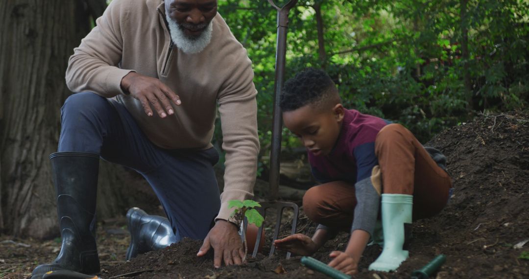 Grandfather and Grandson Planting Tree Together Outdoors - Free Images, Stock Photos and Pictures on Pikwizard.com