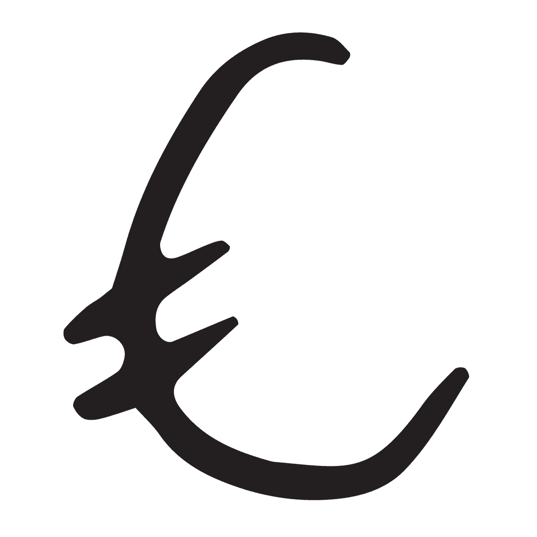 Transparent Euro Symbol Illustration on Clear Background