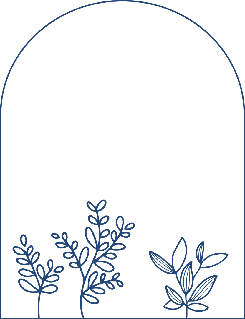 Botanical Line Art of Stylized Plants with Arch Frame on Transparent Backdrop