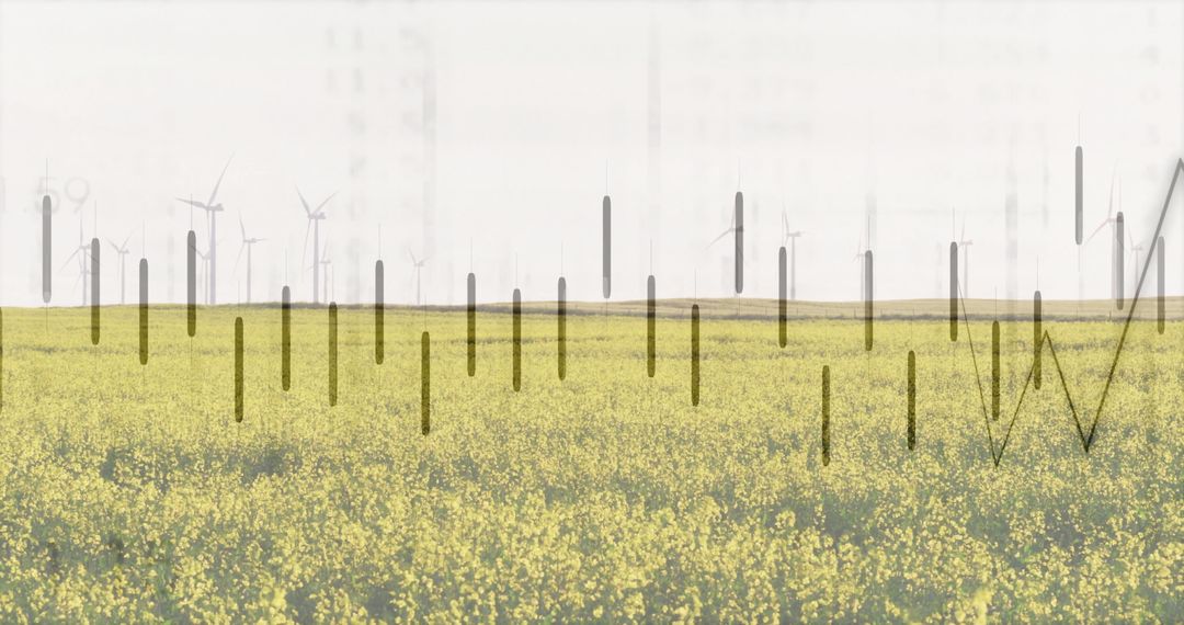 Digital Data Overlay on Wind Farm Landscape with Yellow Field