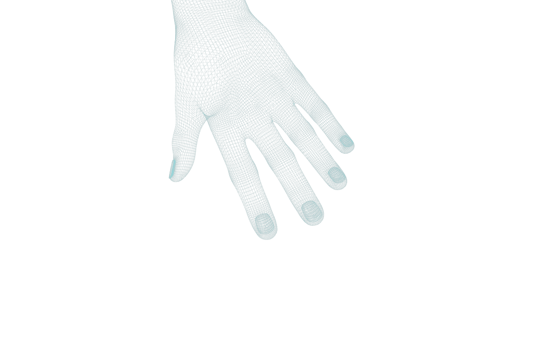 Transparent 3D Human Hand Model with Texture Details
