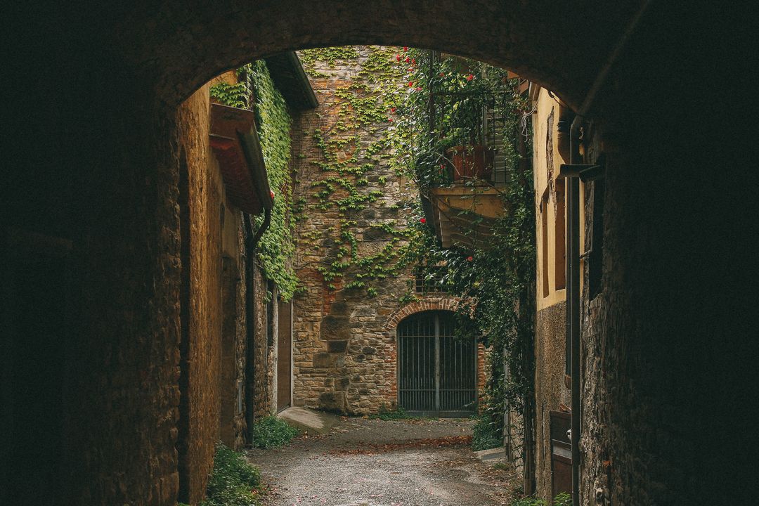 Picturesque Medieval Alleyway with Stone Archway and Ivy-Covered Walls - Free Images, Stock Photos and Pictures on Pikwizard.com