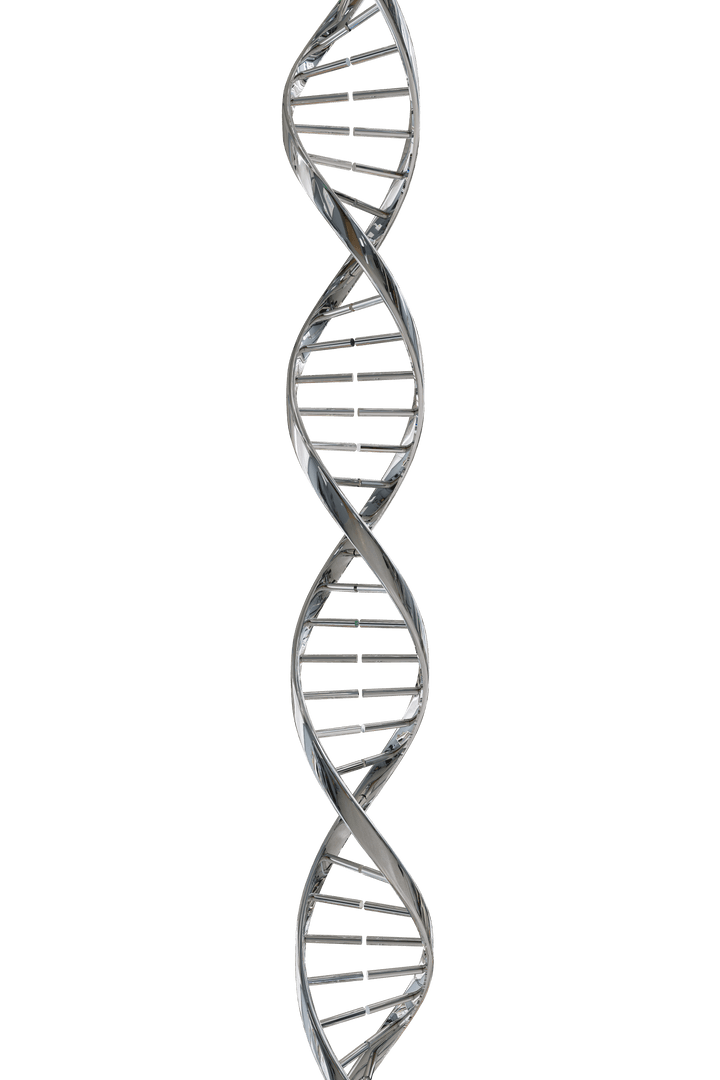 Transparent Steel DNA Double Helix Structure on White Background