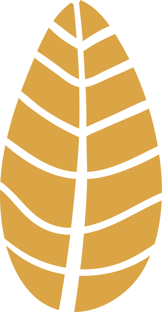 Abstract Leaf Icon with Transparent Background