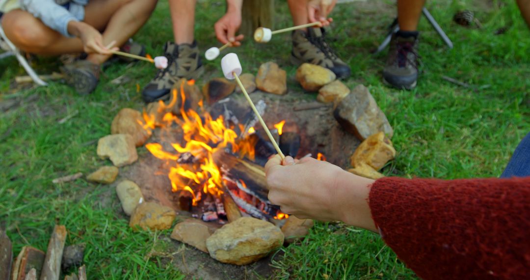 Group of Friends Roasting Marshmallows Around Campfire in Outdoors - Free Images, Stock Photos and Pictures on Pikwizard.com