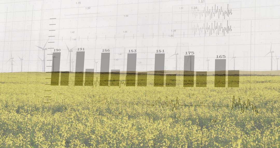 Canola Field Merging with Renewable Energy Data Bar Chart Overlay and Wind Turbines