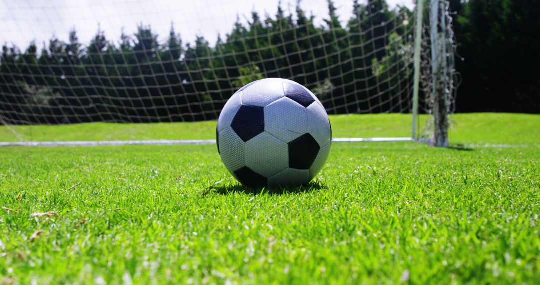 Close-up of soccer ball on green grass field with goal in background - Free Images, Stock Photos and Pictures on Pikwizard.com