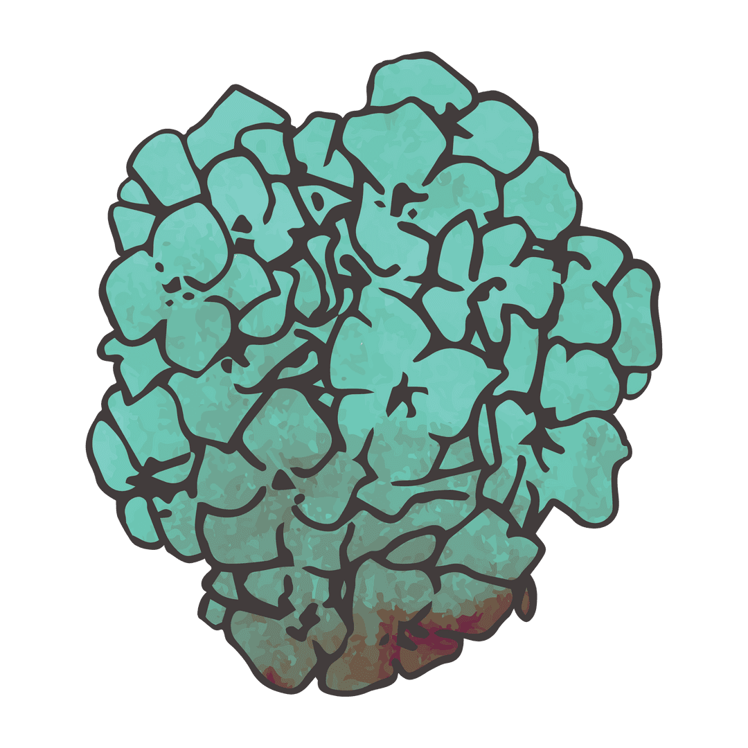 Transparent Green Flower Illustration with Unique Shapes