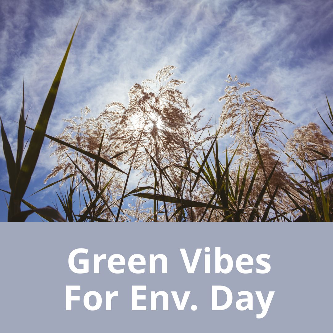 Environmental Awareness Green Wheat Field and Tranquil Sky
